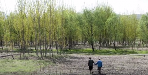 yesil-asker