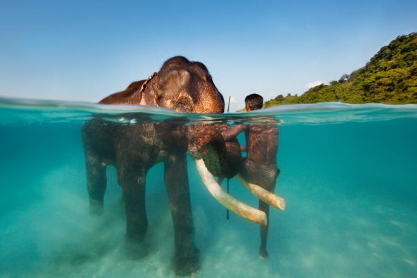 Andaman-Adalari-Hindistan-rooteto