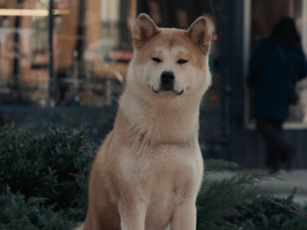Hachiko