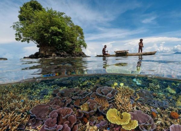 Papua-yeni-gine-rooteto