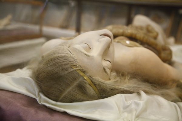 anatomik-venus-4