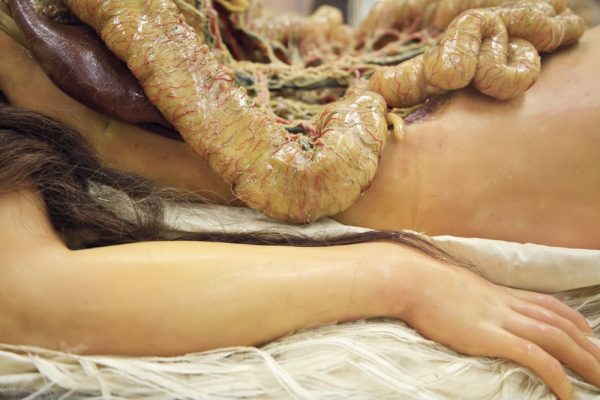 anatomik-venus-5