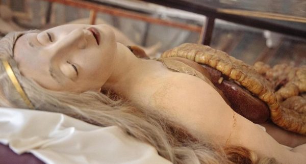 anatomik-venus-9