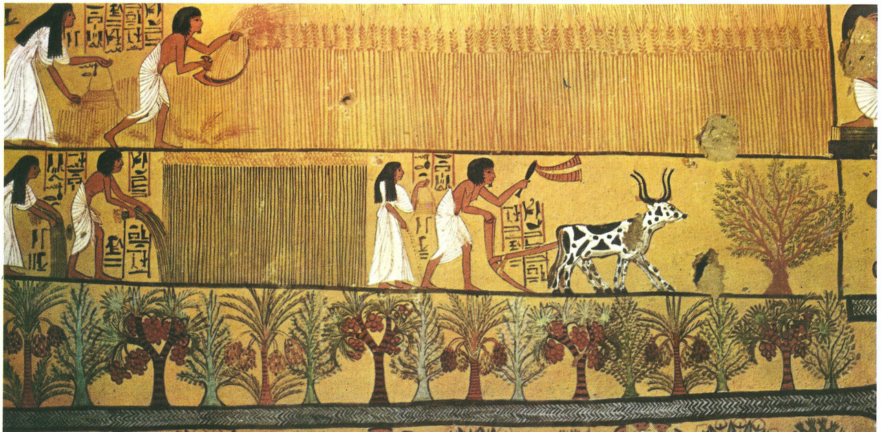 Antik Mısır Hakkında Daha Önce Duymadığımız 25 Şaşırtıcı Bilgi