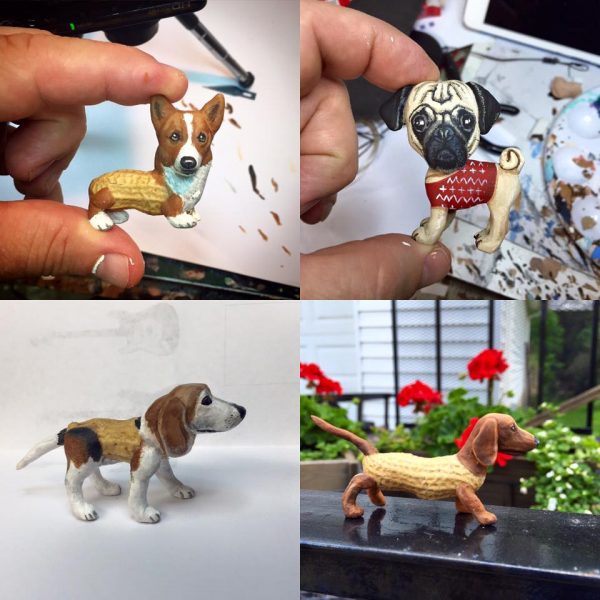 fıstık köpekler