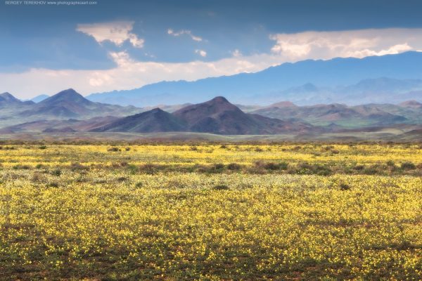 01The steppes of Kazakhstan