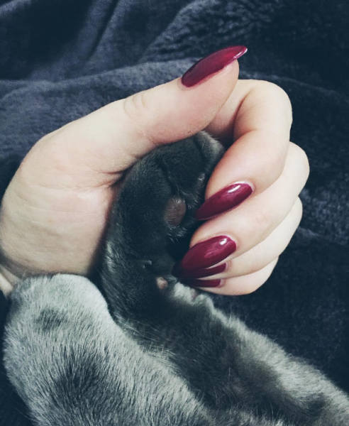 07 cats