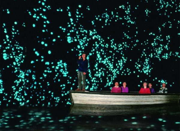 11. Glowworm 11