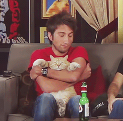 catt