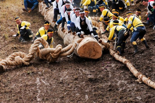 Kiotoshi, the thrillingly dangerous log drop, during the Onbashira festival, where 16 sacred pillars are brought by hand to rejuvenate each the upper and lower Suwa Shrines in Nagano Prefecture.