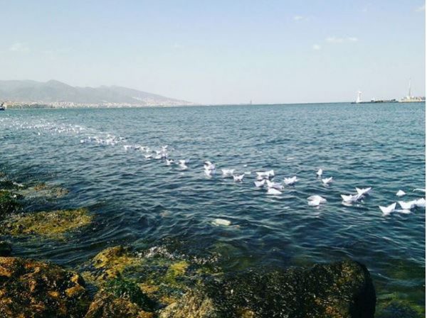 3-Touraj-Saberivand