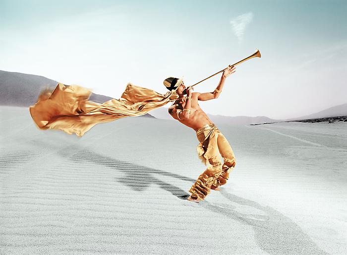 025 david lachapelle