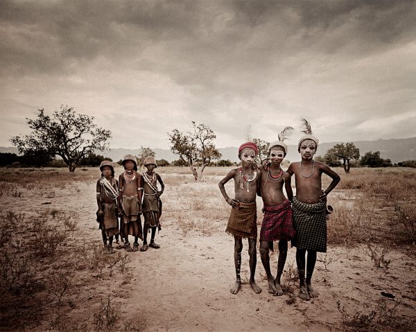 2. Arbore-3