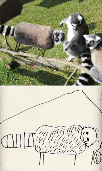 kid-drawings-things-i-have-drawn-dom-23-580dfb8dcf47d__700
