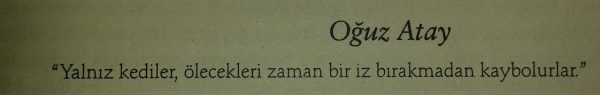 oguz-atay_561103