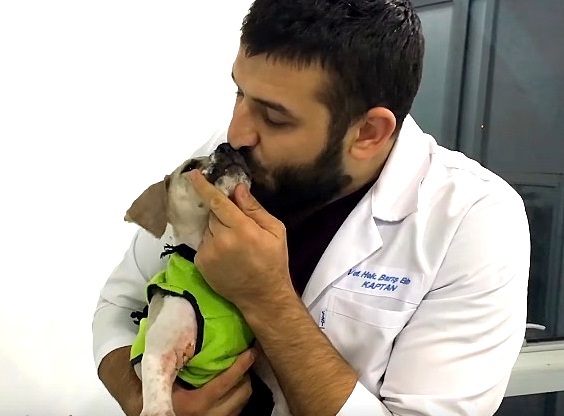 11.3.16-Pascal-Dog-Drowned-in-Glue10