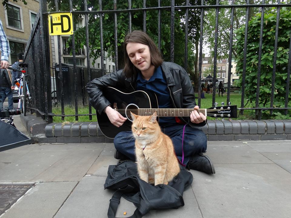 Sokakta Tanıdığı Bir Kedi Sayesinde Hayatı Bütünüyle Değişen James