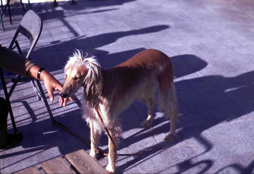 Taliban Öncesi Afganistan Manzarasını Gösteren, 1960'lı ...