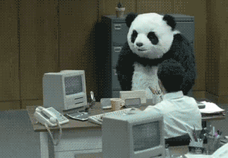 panda-rage