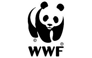 wwf_logo_800x600_1592