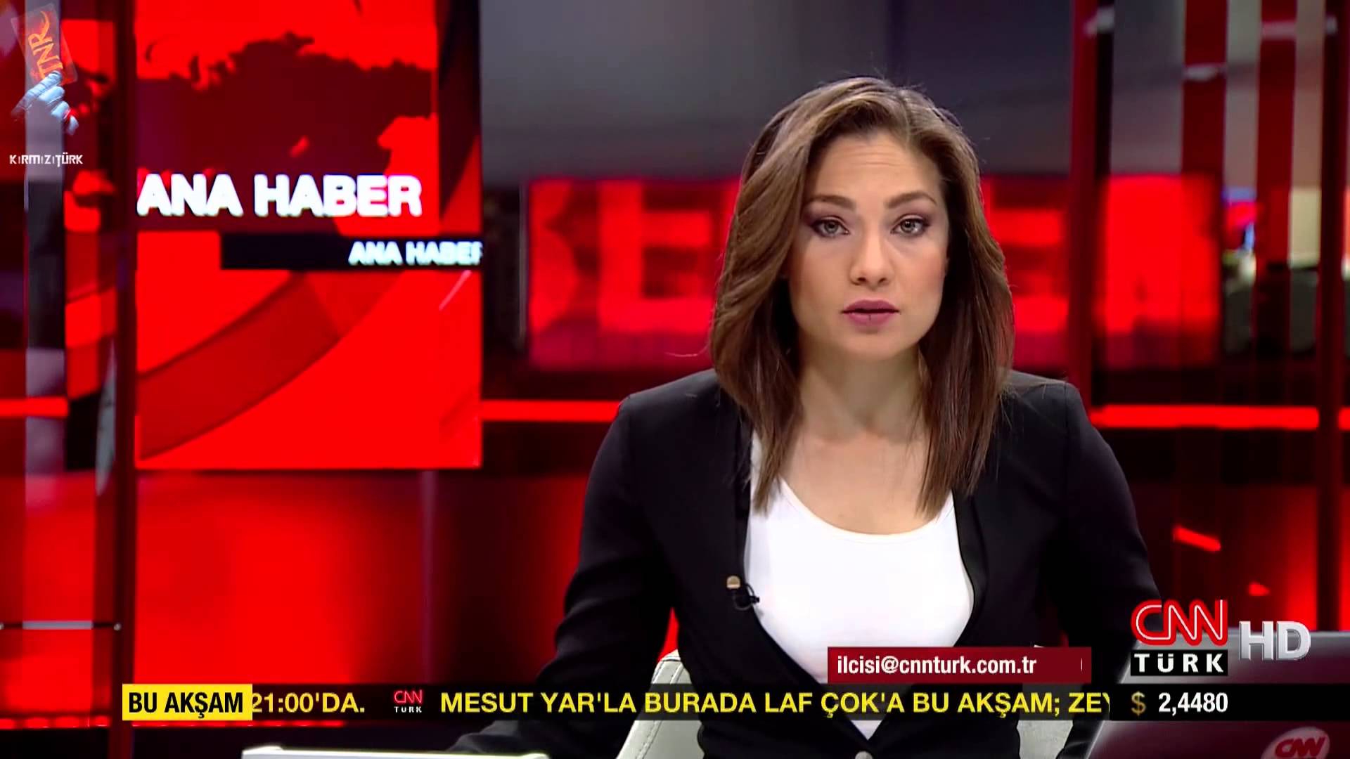 012nevşin mengü
