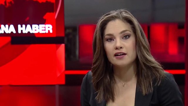 015nevşin mengü