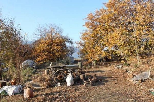 720x720nc-izm-10-12-16-gaggi-ciftligi21