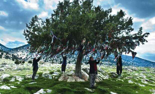 Türklerdeki Çam Süsleme Geleneği &quot;Nardugan&quot; Hakkında Pek Bilinmeyen 9