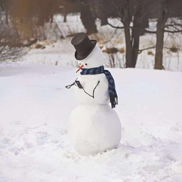 creative-snowman-ideas-46-5853eae865d1e__605