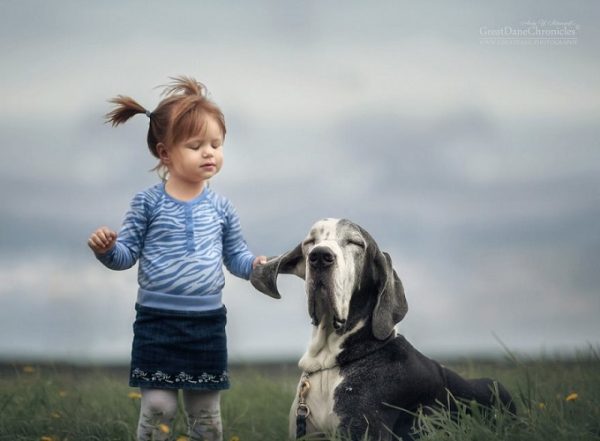 little-kids-big-dogs-photography-andy-seliverstoff-11-584fa9136ae88__880