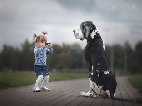 little-kids-big-dogs-photography-andy-seliverstoff-12-584fa91523670__880