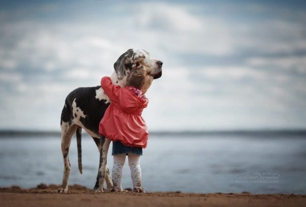 little-kids-big-dogs-photography-andy-seliverstoff-14-584fa917f1bf0__880