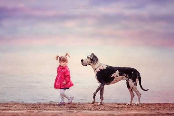 little-kids-big-dogs-photography-andy-seliverstoff-15-584fa91953feb__880