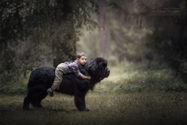 little-kids-big-dogs-photography-andy-seliverstoff-16-584fa91bae708__880