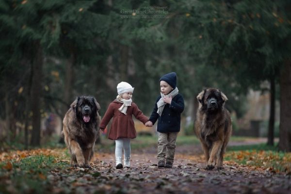 little-kids-big-dogs-photography-andy-seliverstoff-23-584fa92aa10d2__880