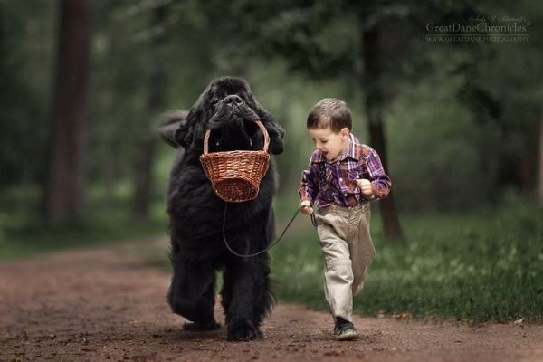 little-kids-big-dogs-photography-andy-seliverstoff-3-584fa903b4cd6__880