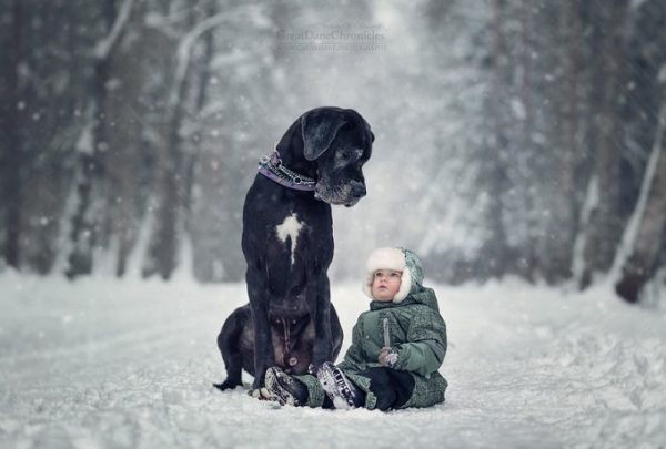 little-kids-big-dogs-photography-andy-seliverstoff-44-584fa95fcc8ec__880