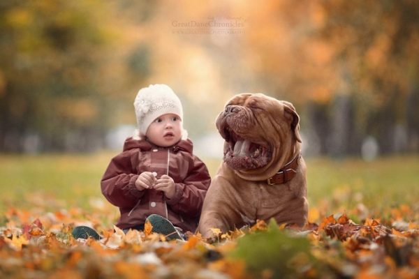 little-kids-big-dogs-photography-andy-seliverstoff-53-584fa977bce19__880
