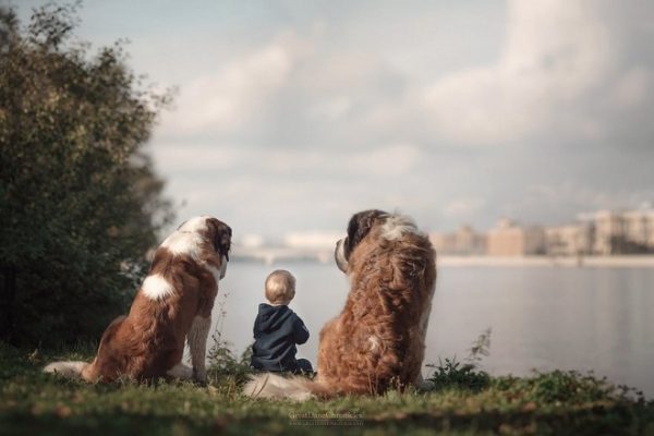 little-kids-big-dogs-photography-andy-seliverstoff-58-584fa983309ed__880