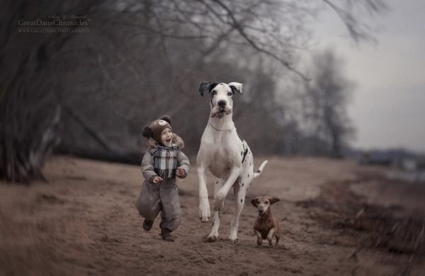 little-kids-big-dogs-photography-andy-seliverstoff-6-584fa90999f74__880