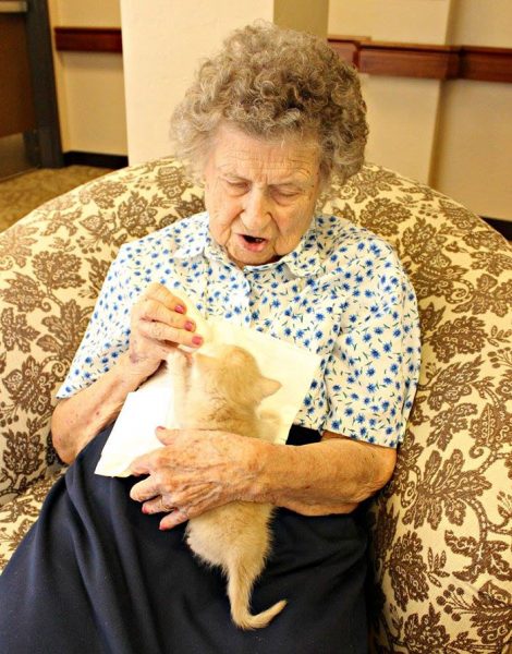retirement-home-shelter-cats-1