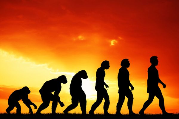 Human-evolution