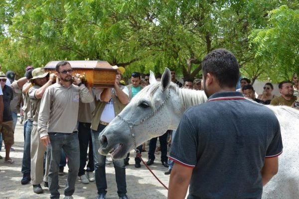 horse-goodbye-owner-funeral-brasil-1