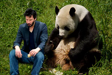 sadkeanu_3023621c