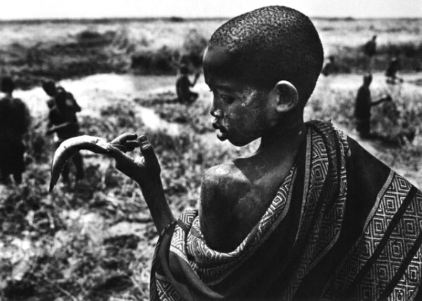 017 sebastiao salgado
