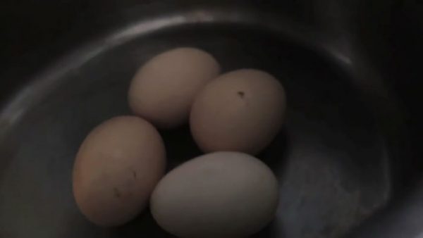 lost-chicken-found-pan-kippiekip-23