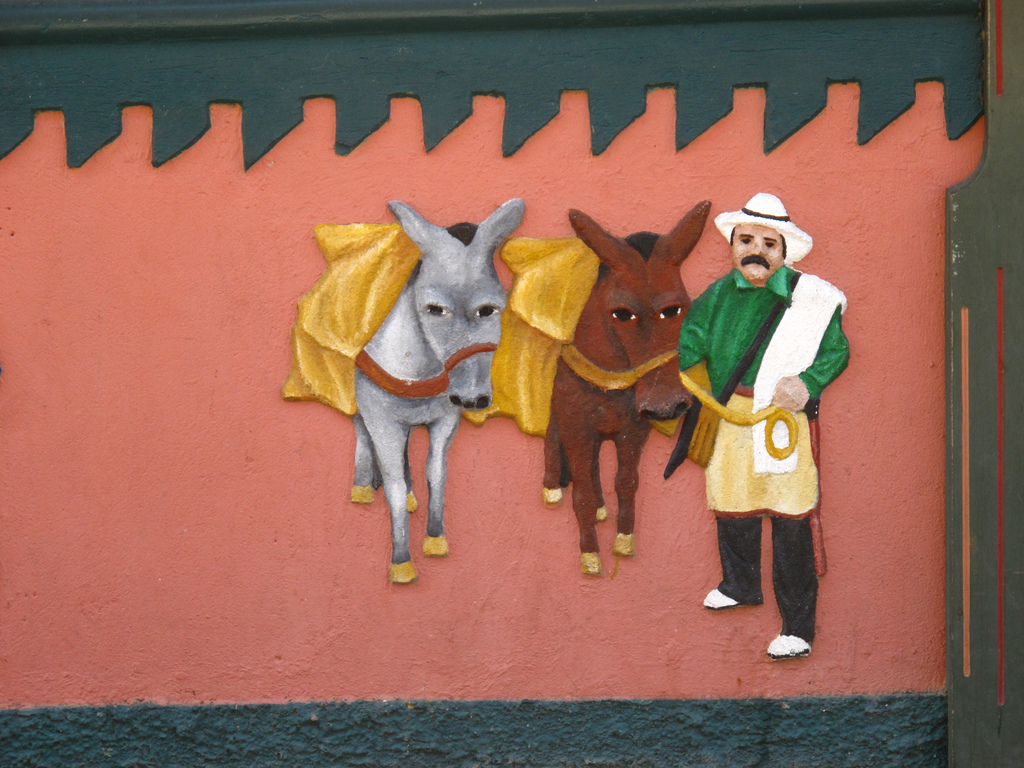 guatepe erkekleri