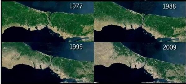 istanbul-yesil-alanlarin-azalmasi