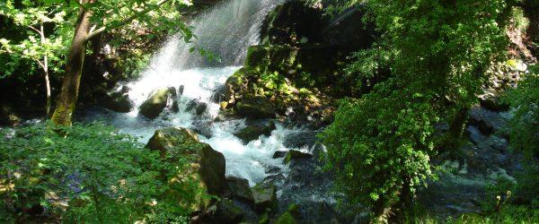 kazdağları 1
