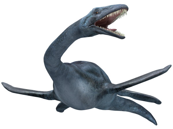 13-Elasmosaurus